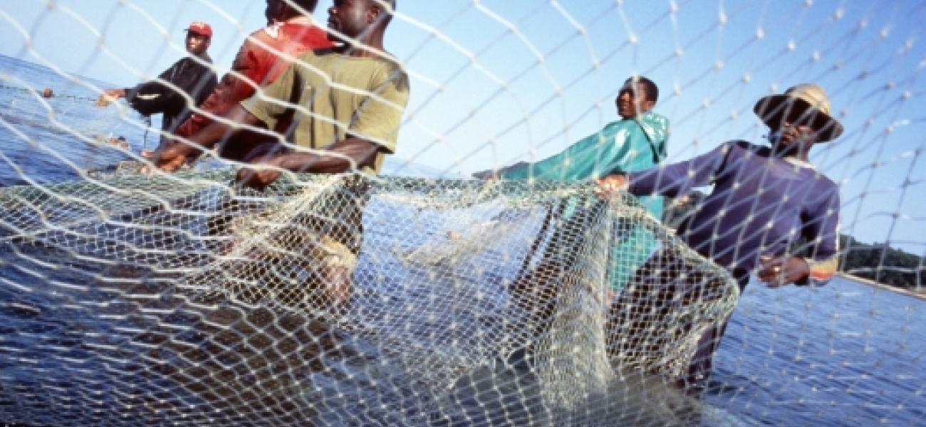 Pêche continentale en Afrique de l’Ouest : cinq pays en première ligne pour la sécurité alimentaire